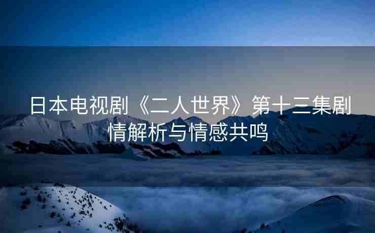 日本电视剧《二人世界》第十三集剧情解析与情感共鸣